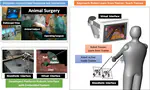 Image-guided Surgical Training System: A Robotic System that Learn and Teach