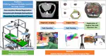 Robotic Augmented Reality System for Minimally Invasive Surgery